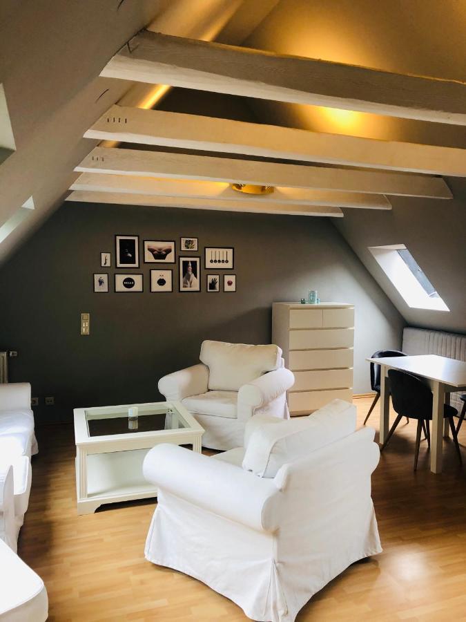 Riverview Loft In Central Herzogenaurach Ngoại thất bức ảnh